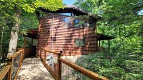 Mountain Joy -Private Treehouse style cabin that sleeps 4-FREE Tickets